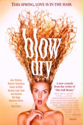 Blow Dry (Theatrical Movie Poster) VG