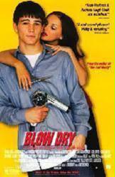 Blow Dry [w/ Josh Hartnett & Rachael Leigh Cook] (Video Movie Poster) Nr. Mint