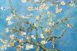 Van Gogh, Vincent-Branches of An Almond Tree in Blossom [24'' X 36'' Poster) Brand New