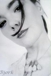 Bjork poster: Portrait (23 1/2'' X 33) New