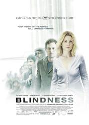 Blindness movie poster [Julianne Moore, Mark Ruffalo & Danny Glover]