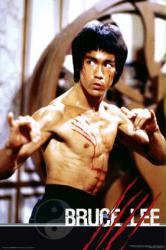Bruce Lee poster: Fight (24'' X 36'' poster) New