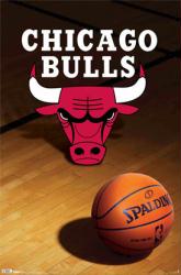 Chicago Bulls logo poster (NBA) 22 1/4'' X 34''