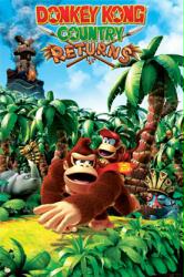Donkey Kong Country Returns poster [Nintendo Wii] 22 1/2'' X 34''