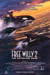 Free Willy 2: The Adventure Home movie poster (video version)