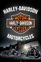 Harley-Davidson Motorcycles poster: Leather (24'' X 36'')