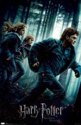 Harry Potter and the Deathly Hallows: Part 1 poster (22 1/4'' X 34'')