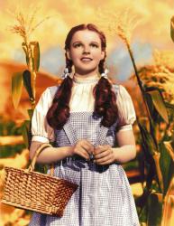 Judy Garland glossy: 8'' X 10'' picture [The Wizard of Oz] Color
