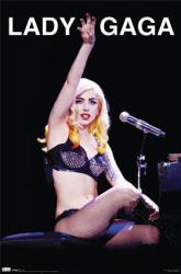 Lady Gaga poster: Stage (22 1/2'' X 34'' poster) New