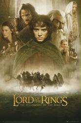 Lord of the Rings: Fellowship of the Ring movie poster (24'' X 36'')