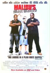 Malibu's Most Wanted movie poster [Jamie Kennedy & Taye Diggs]