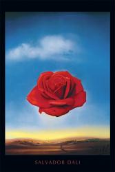 Salvador Dali poster: The Meditative Rose (24'' X 36'') New