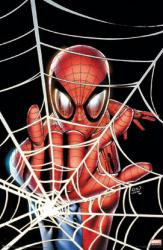 Spider-Man poster: Web (22 1/4'' X 34'' poster) Marvel