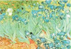Van Gogh, Vincent-Irises (36'' X 24'' Poster) New