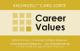 Career Values Card Sort (Knowdell) - online