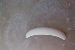 Bultaco Alpina rear fender