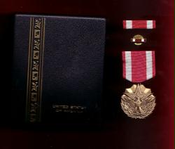 US Meritorious Service medal in case with ribbon bar and lapel pin