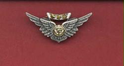 US Navy and Marine USMC Combat Aircrew Wings Badge with gold stars