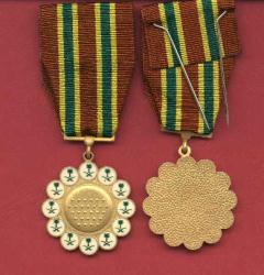 Saudi Combat medal Gulf War