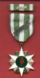 Vietnam Campaign medal with ribbon bar with 60 device
