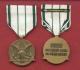 Army Commander's Award for Public Service medal