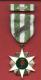 Vietnam Campaign medal with ribbon bar with 60 device