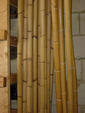 100 Staves of Manal Rattan