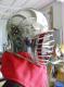 Low Profile Burgeonet with hinged cheeks and removeable visor